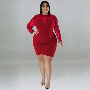 Nova Mesh Long Sleeve Dress