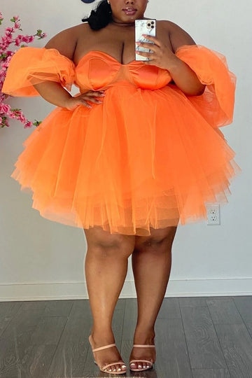 Sandra Sweetheart Tulle Dress